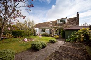 Rear Aspect- click for photo gallery